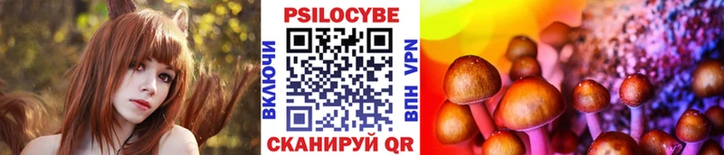 купить наркоту  Владивосток  Псилоцибиновые грибы GOLDEN TEACHER 